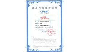 中国互联网-东影通用网址证书